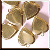 1127.gif